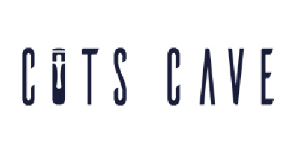 11 COTS CAVE